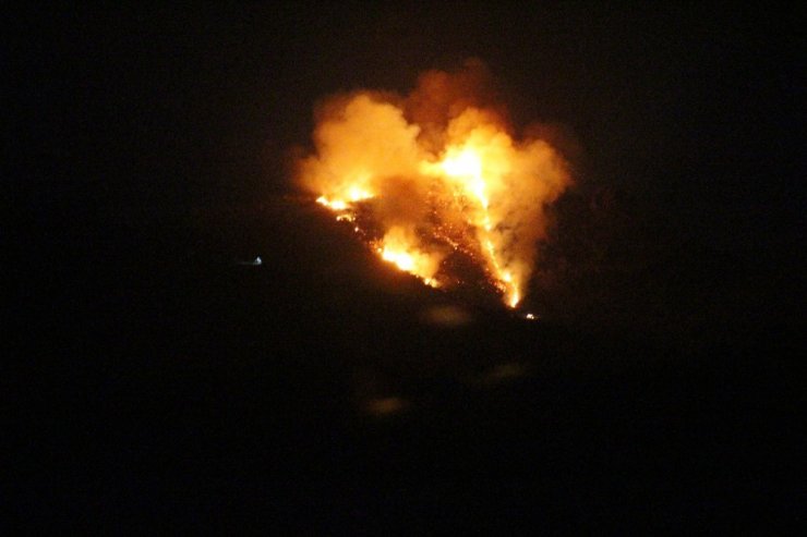 Bodrum’da Makilik alanda korkutan yangın