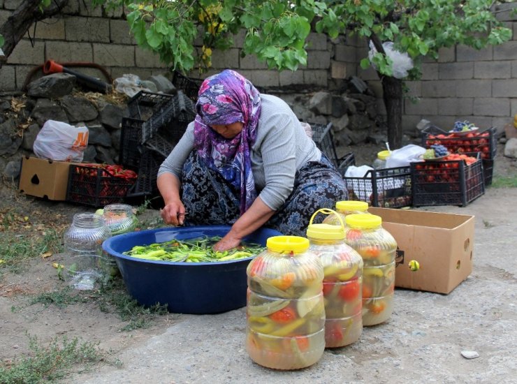 Erzincan’da kadınların turşu mesaisi başladı