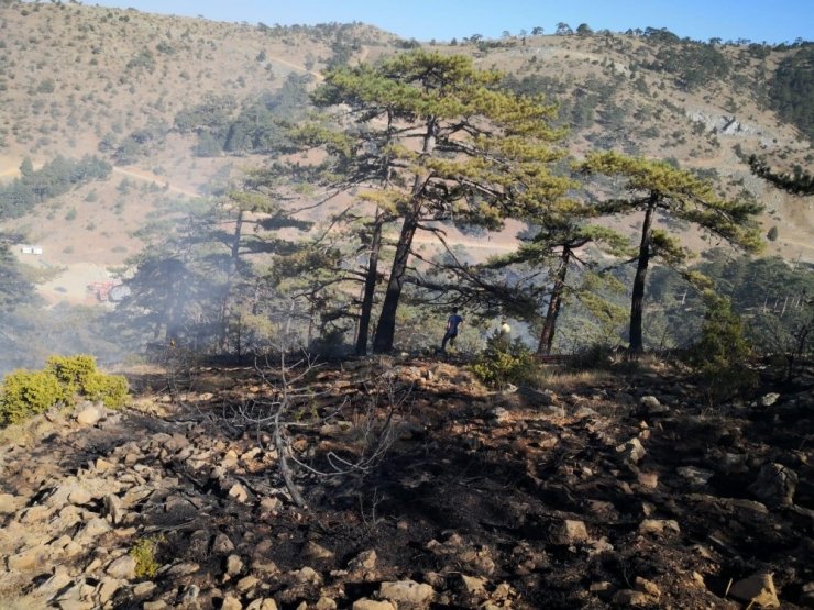 Eskişehir’de orman yangını