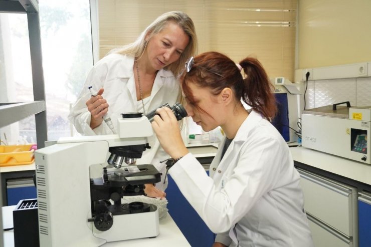 Bu çalışma "dünyada ilk" olacak