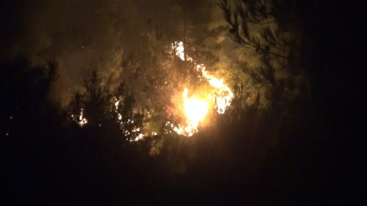 Hatay’da 25 farklı noktadaki orman yangınlarından 24’ü söndürüldü