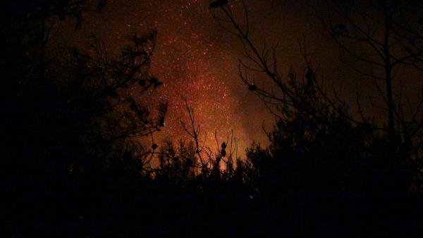 Hatay'daki orman yangını, 13 saat sonra söndürüldü
