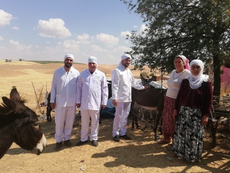 Mardin’in ödüllü eşek sütü sabunu 27 ülkeye ihraç ediliyor