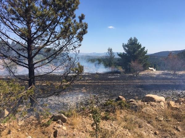 Ankara'da 10 hektar orman yandı