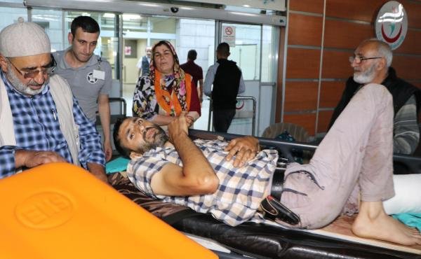 Erzurum'da ayı saldırısı: 1 ölü, 2 yaralı 