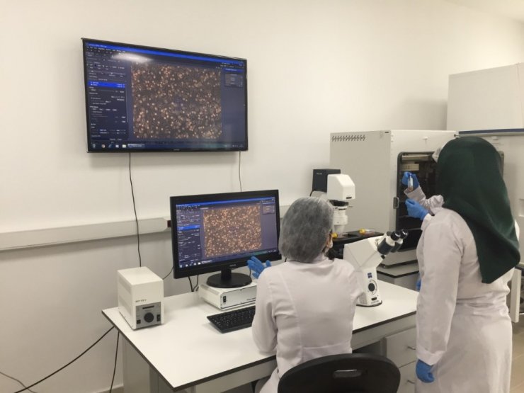 Kullanılmayan cihazları toplayıp dev laboratuvar kurdular