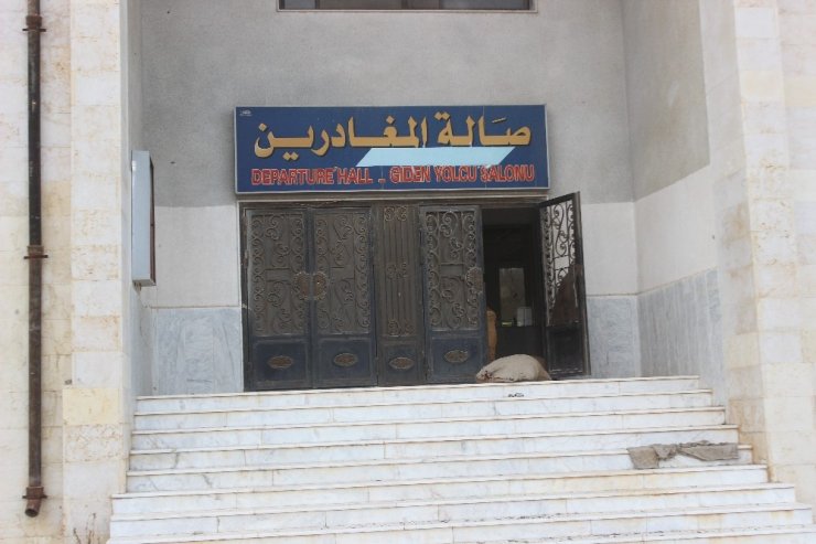 Terörden temizlenen Tel Abyad’tan yeni görüntüler