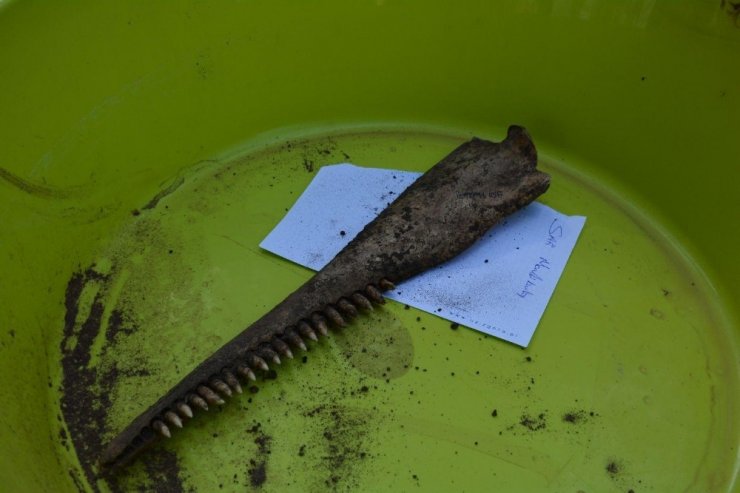 Beş yıldır gömülü olan yunusun iskeleti EÜ Tabiat Tarihi Müzesinde