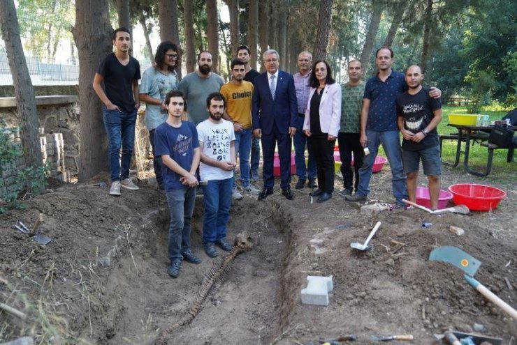 Beş yıldır gömülü olan yunusun iskeleti EÜ Tabiat Tarihi Müzesinde