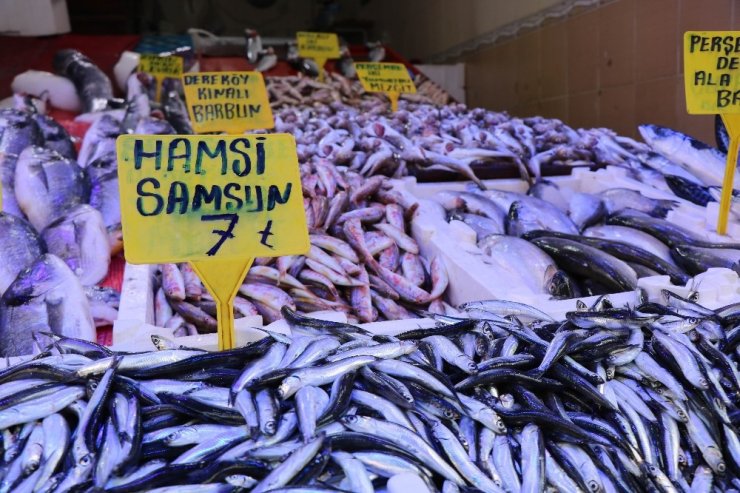 Karadeniz’de sezon balıkları uygun fiyata alıcılarını bekliyor