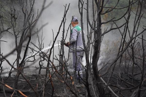 Kütahya’da 250 bin fidan dikildi, 3 hektar ormanlık alan yandı