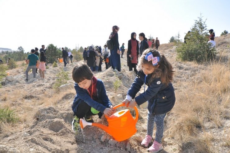 NEÜ Köyceğiz ve Seydişehir Yerleşkesinde binlerce fidan toprakla buluştu