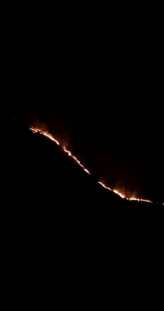 Ardahan’daki orman yangınını söndürme çalışmaları sürüyor