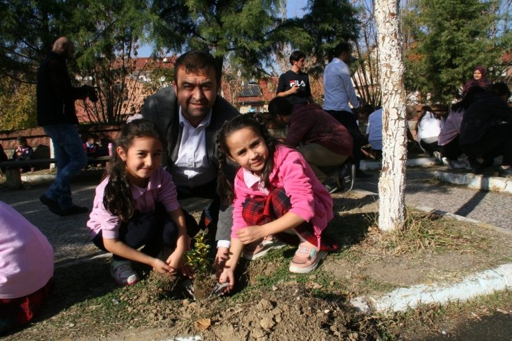 Devrek Ahmet Taner Kışlalı Ortaokulundan fidan dikimi