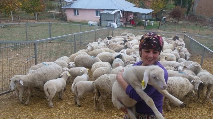 Kadın çoban iş başında