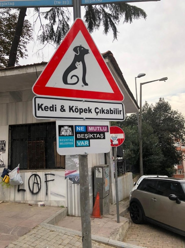 Beşiktaş’ın sokaklarında ‘Kedi ve Köpek Çıkabilir’ farkındalığı
