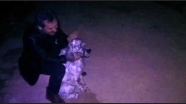Konya'da cins köpekleri çalan 3 kişi tutuklandı