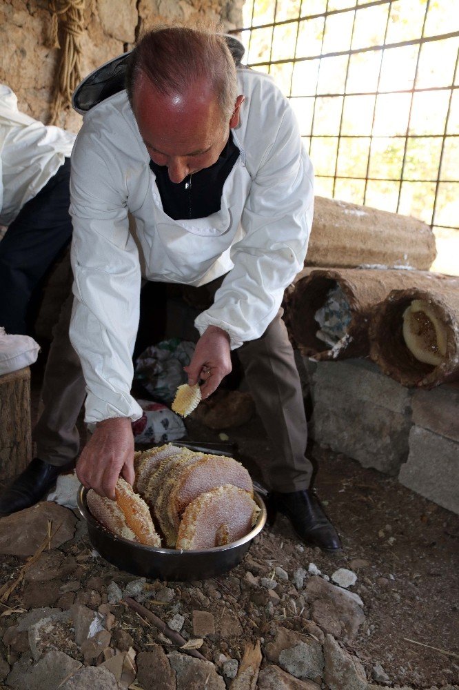 Bitlis’te karakovan balının hasadına başlandı