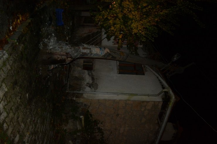 Isparta’da kaza yapan kamyonetin çarptığı elektrik direği evin çatısına devrildi: 2 ağır yaralı