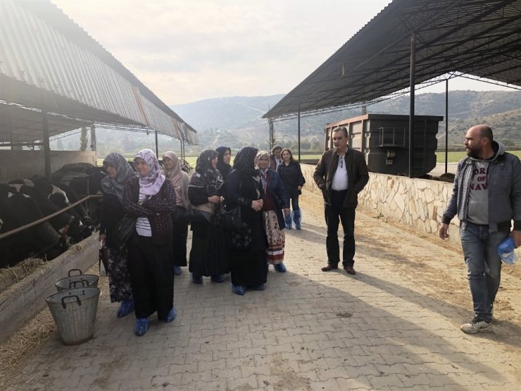 Aydın’da kadın çiftçiler hayvan çiftliğini gezdi