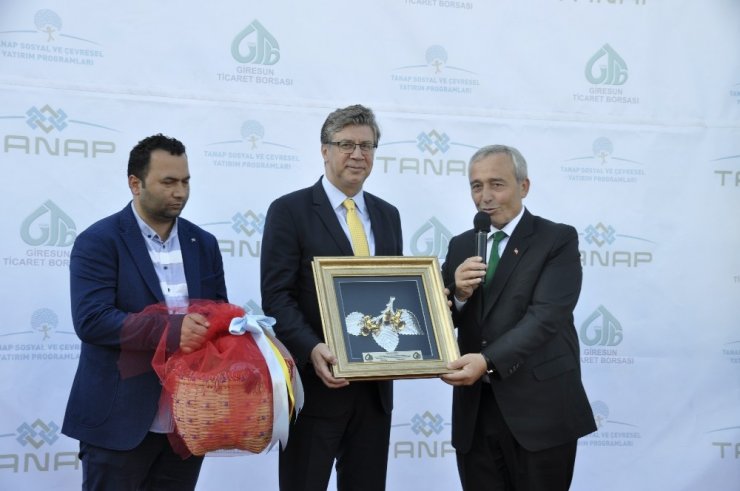 Giresun Ticaret Borsası’nın Güneş Enerji Santrali törenle açıldı