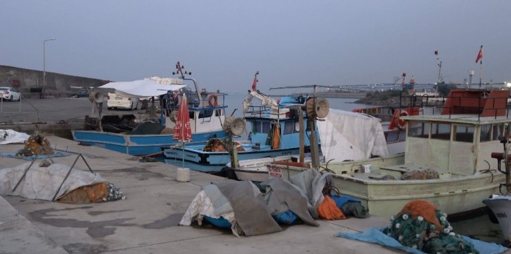 Deniz ürünleri ihracatında önemli bir yer tutan deniz salyangozu balıkçıların gelir kaynağı oldu