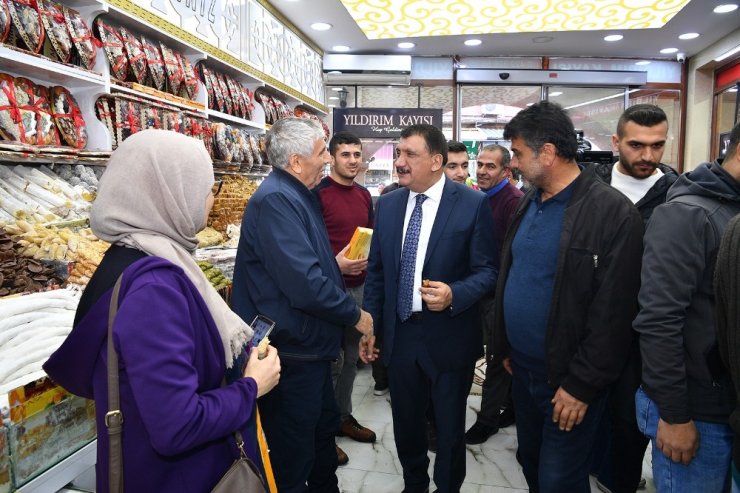 Sanatçılar kayısı pazarında