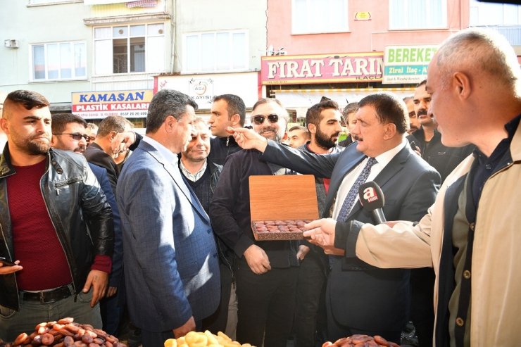 Sanatçılar kayısı pazarında