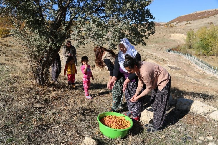 Köyde kadınlar imalathane kurdu, doğal meyvelerle üretime başladı