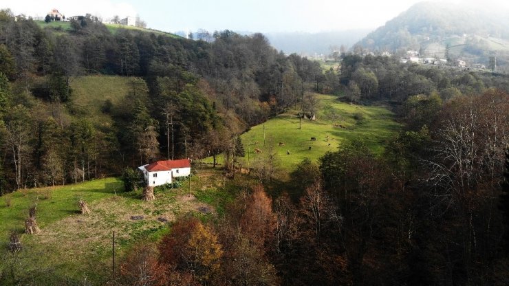 Trabzon’un saklı cenneti: Kudavas Şelalesi