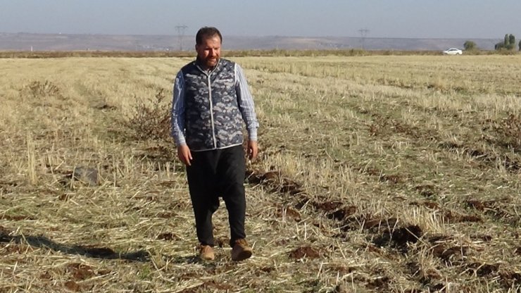 Diyarbakır’da buğday ekim mesaisi sürüyor