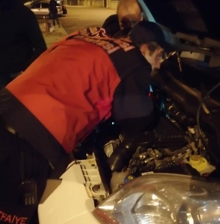 Motora sıkışan kedi kurtarıldı