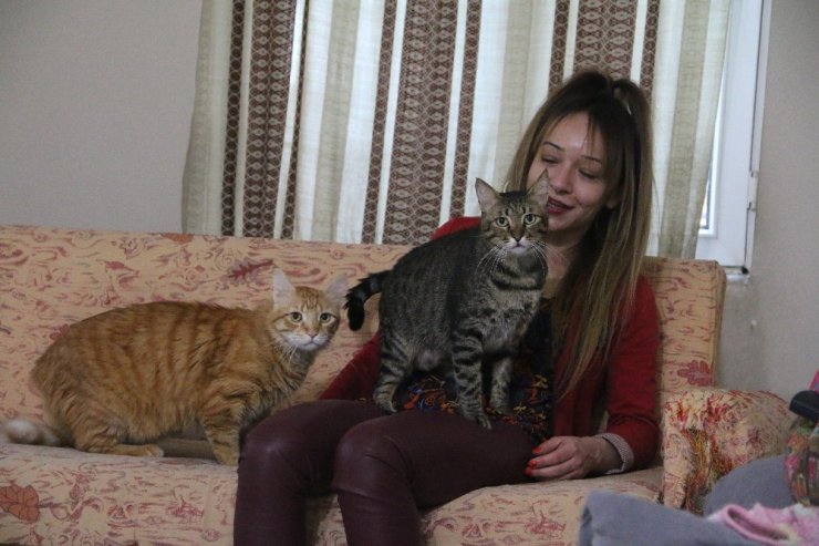 Evinde 10 hayvan besleyen kadın, veteriner hekim olmak için 3. üniversiteyi okuyor