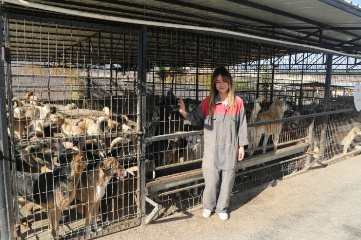 Evinde 10 hayvan besleyen kadın, veteriner hekim olmak için 3. üniversiteyi okuyor