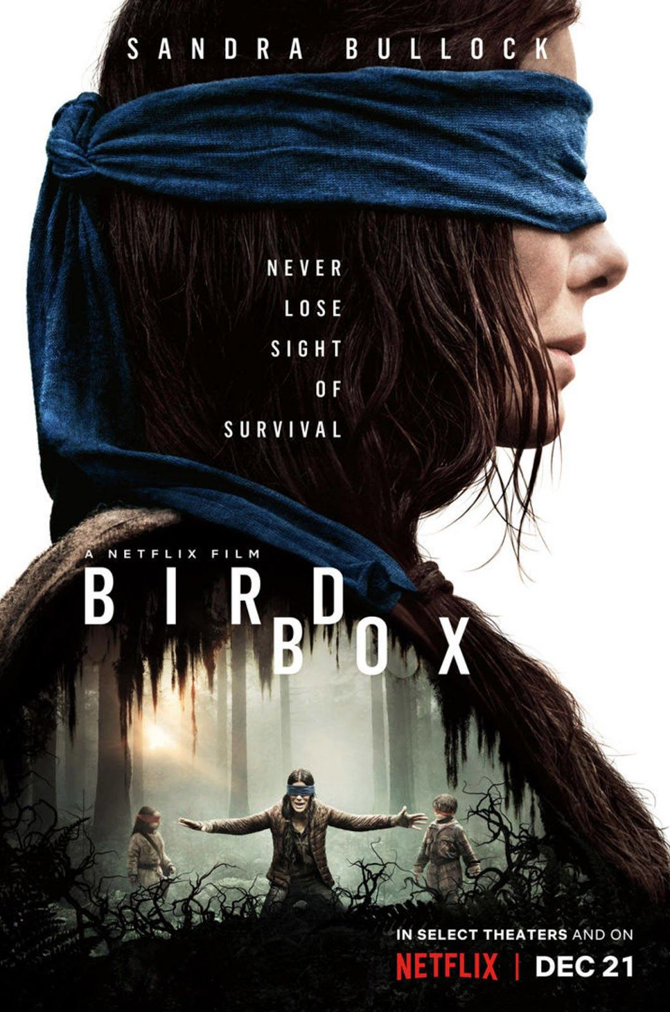 bird-box.jpg