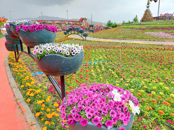 konya-cicek-bahcesi-7.jpg