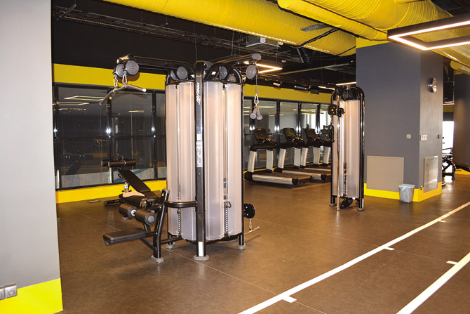 synergym-11.jpg